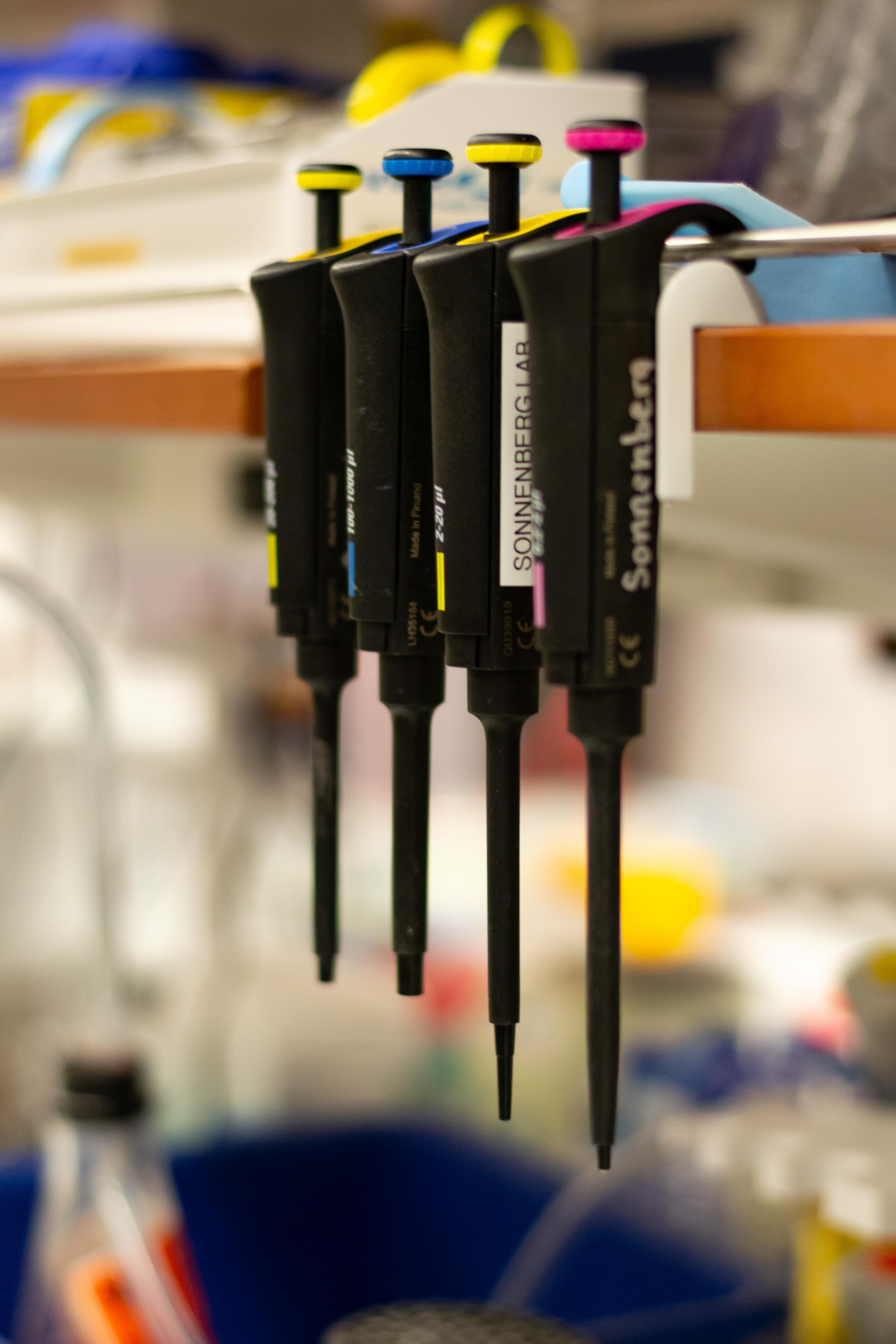 Calibrated Pipettes